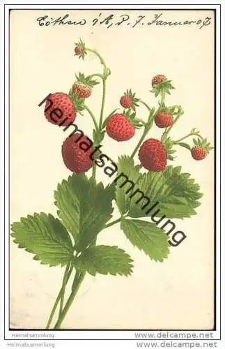 Erdbeeren
