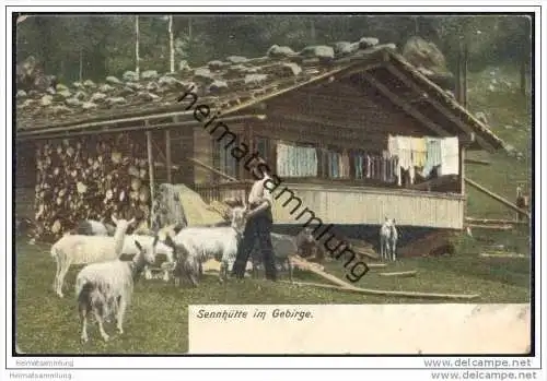 Sennhütte im Gebirge ca. 1900 - Ziegen - Geissen