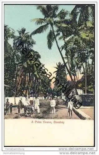 Indien - Bombay - A Palm Grove - ca. 1910