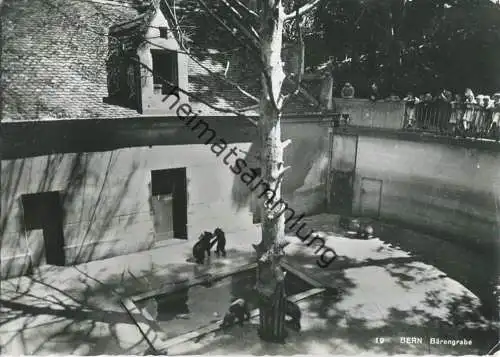 Bern - Bärengraben - Foto-AK Grossformat