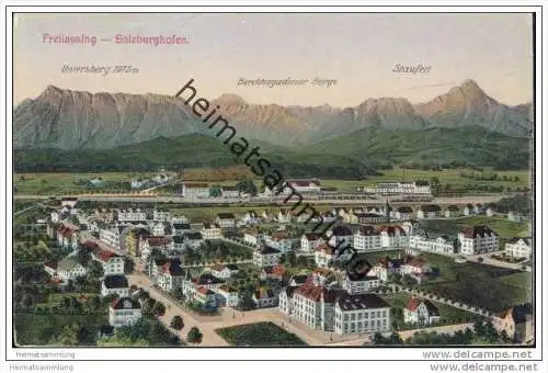 Freilassing - Salzburghofen - Panorama
