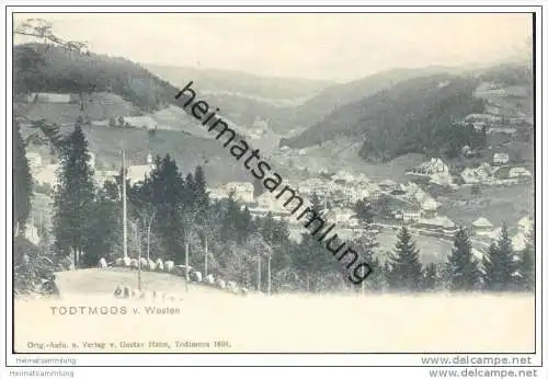 Todtmoos von Westen 1904