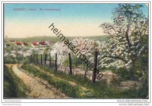 Werder - Am Wachtelberg - Baumblüte