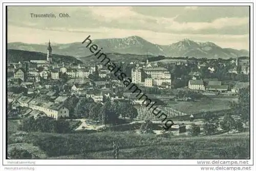 Traunstein - Panorama