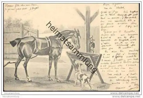 Ein Pferd und ein Hund - Künstlerkarte P. Dienst
