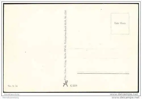 Messerschmitt Me 109 - Jagdeinsitzer - Foto-AK