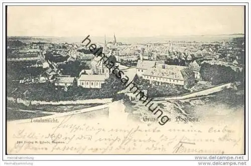 Gruss aus Hagenau - Haguenau - Totalansicht