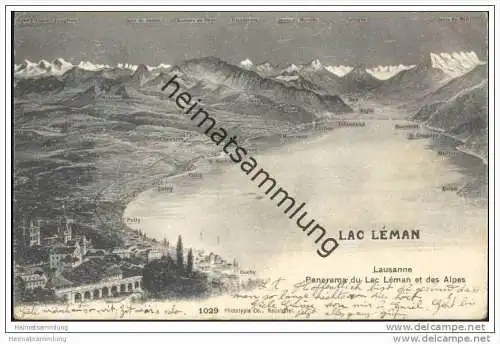 Lausanne - Panorama du lac leman et des Alpes