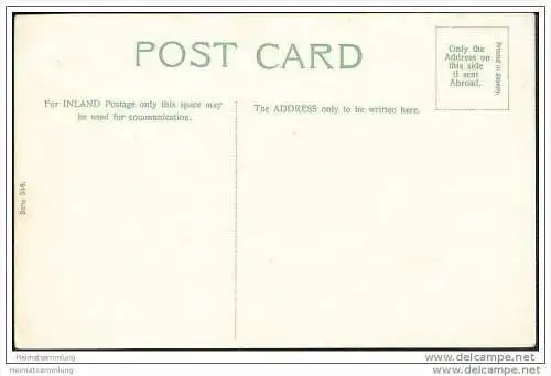 Humor - Kinder - Blumenkohl - Kohlfeld