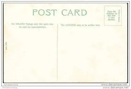 Humor - Kinder - Blumenkohl