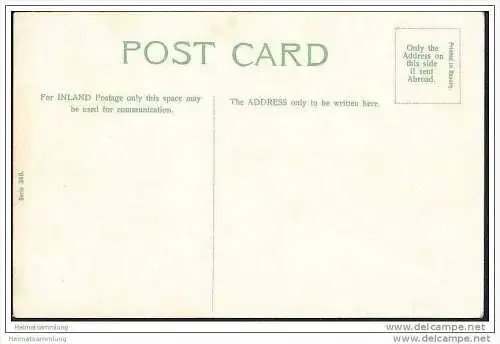 Humor - Kinder - Blumenkohl