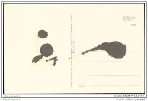 Neukirch - Lausitz - Foto-AK