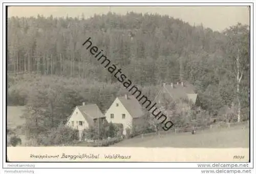 Berggiesshübel - Waldhaus - Foto-AK