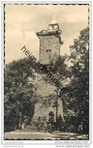 Berggiesshübel-Gottleuba - Panoramahöhe - Foto-AK