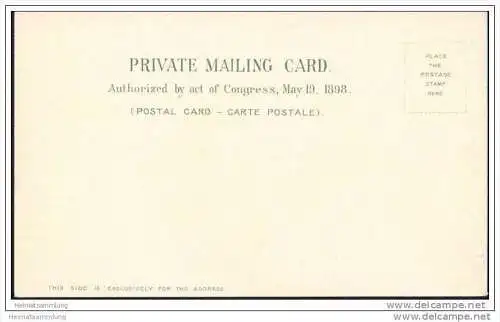 Chicago - Field Columbian Museum - Art Institute - Masonic Temple - Private Mailing Card ca. 1900