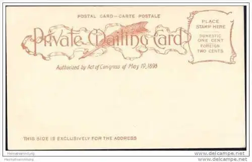 The Great Chinese Dragon - Privat Mailing Card