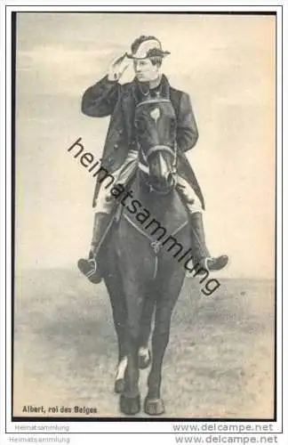 Albert - roi des Belges