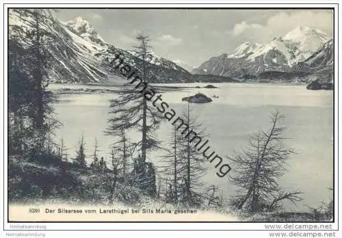 Der Silsersee vom Larethügel bei Sils Maria gesehen