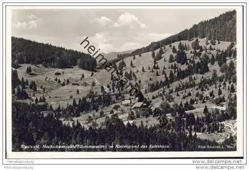 Blasiwald - Hochschwarzwald (Sommerseite) im Hintergrund das Spieshorn - Foto-AK