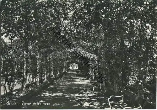 Grado - Parco delle rose - Foto-AK Grossformat 50er Jahre - Ediz. Foto Zuliani