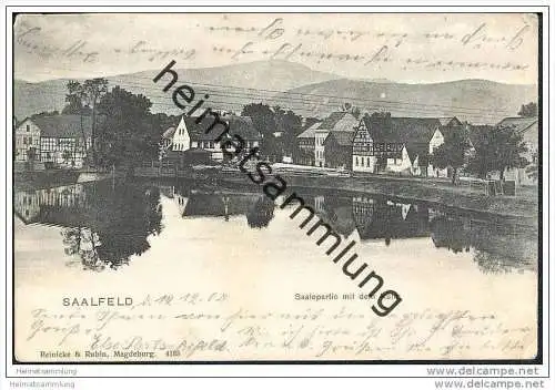 Saalfeld - Saalepartie mit dem Kulm