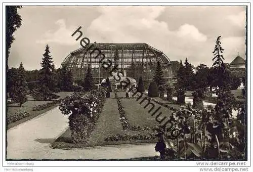 Berlin-Dahlem - Botanischer Garten - Foto-AK 50er Jahre