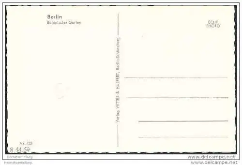 Berlin-Dahlem - Botanischer Garten - Foto-AK 50er Jahre