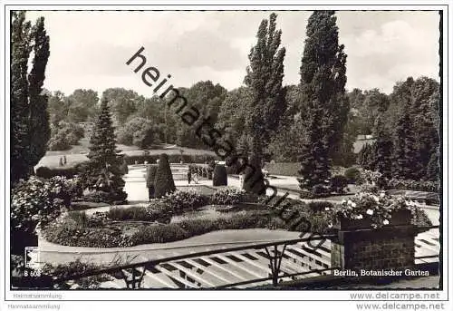 Berlin-Dahlem - Botanischer Garten - Foto-AK 50er Jahre