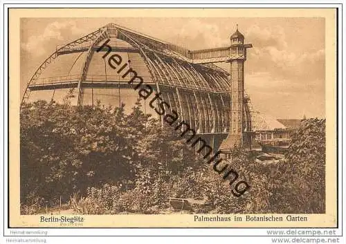 Berlin-Dahlem - Botanischer Garten - Palmenhaus - ca. 1930