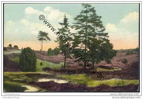 Bispingen - Lüneburger Heide - Landschaft bei Wilsede