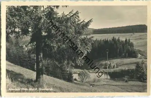 Altenfeld - Hirschteich - Foto-AK - Verlag Trinks & Co. Leipzig 1952