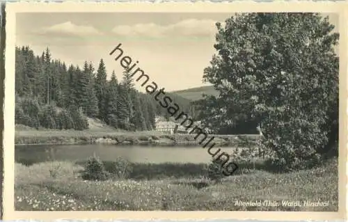 Altenfeld - Hirschtal - Foto-AK - Verlag Trinks & Co. Leipzig 1952