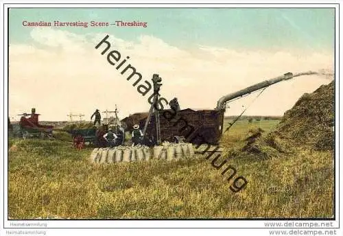 Canadian Harvesting - Threshing - Dreschmaschine - Landwirtschaft