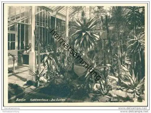 Berlin-Dahlem - Kakteenhaus im Botanischen Garten - Foto-AK Grossformat