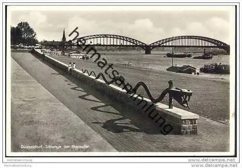 Düsseldorf - Schlange am Rheinufer - Foto-AK