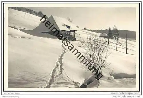 Todtnauberg - Foto-AK