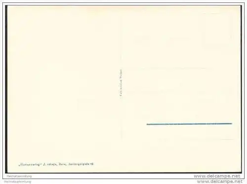 Lamboing - Gesamtansicht - Foto-AK Grossformat