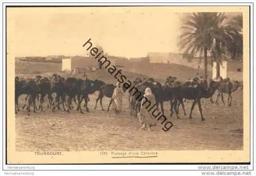 Touggourt - Passage d'une Caravane