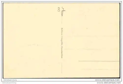 Une Halt au Désert - Kamele