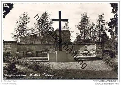 Waldeck - Sachsenhausen - Ehrenmal - Foto-AK