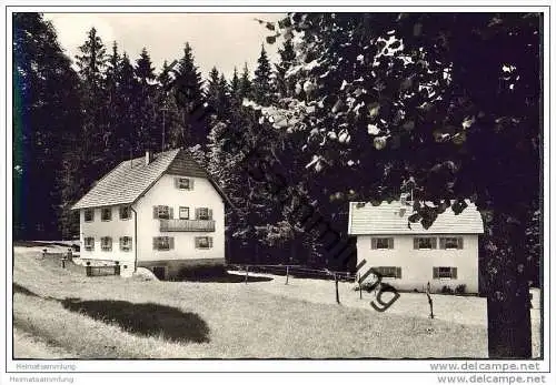Lindberg-Ludwigsthal - Gasthaus Waldesfrieden - Besitzer Jos. Pauli - Foto-AK