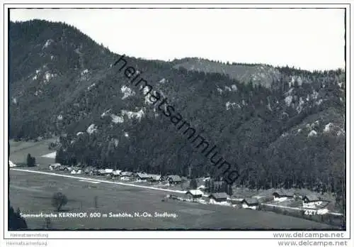 Kernhof - Siedlung - Foto-AK