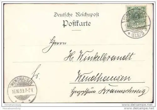 Strassburg - Neueste Nachrichten - Störche