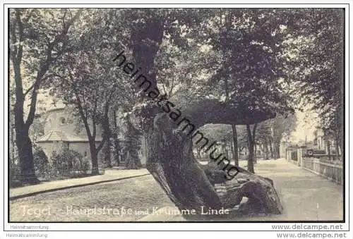 Berlin-Tegel - Hauptstrasse und krumme Linde