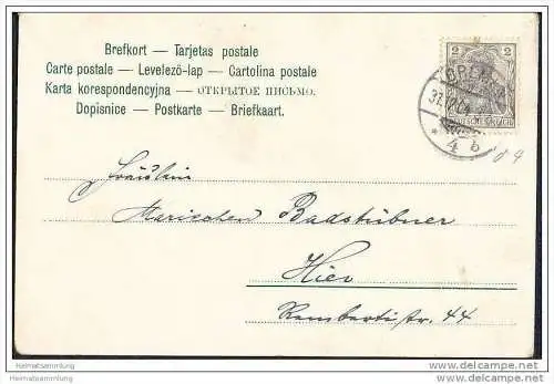 Drei junge Hunde - Welpen