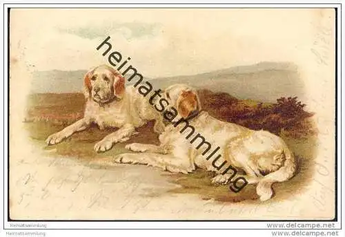 Hirtenhunde