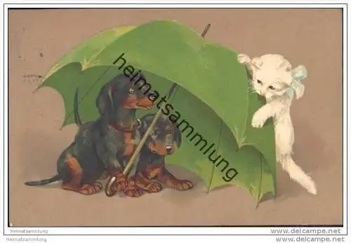 Zwei Dackel und eine Katze unter einem Regenschirm