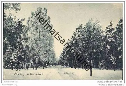 Berlin-Grunewald - Waldweg im Grunewald