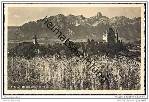 Thun - Panorama im Hochsommer - Foto-AK 20er Jahre