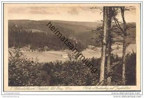 Rehefeld - Blick vom Buchenberg auf Jagdschloss